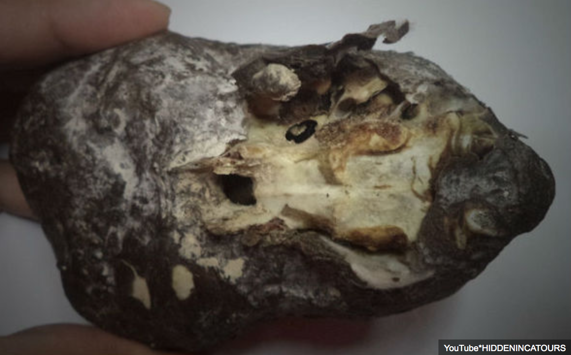 screen-shot-2017-01-12-at-10-13-42-pm