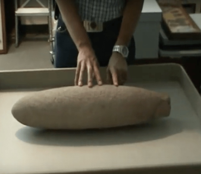 Photo from Youtube channel