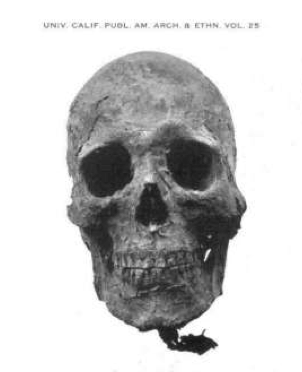 screen-shot-2017-02-17-at-4-41-58-pm