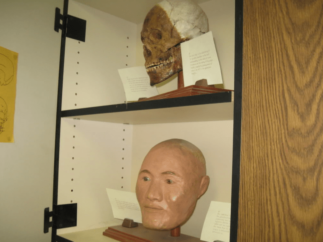 screen-shot-2017-02-20-at-12-03-42-am